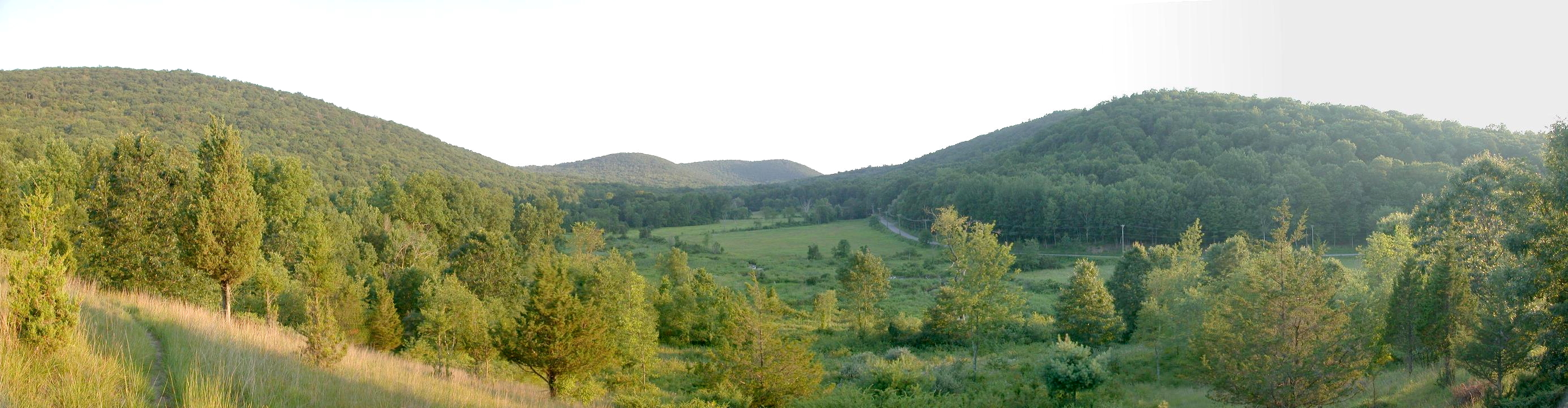 Cobble_brook_southern_panorama-hw