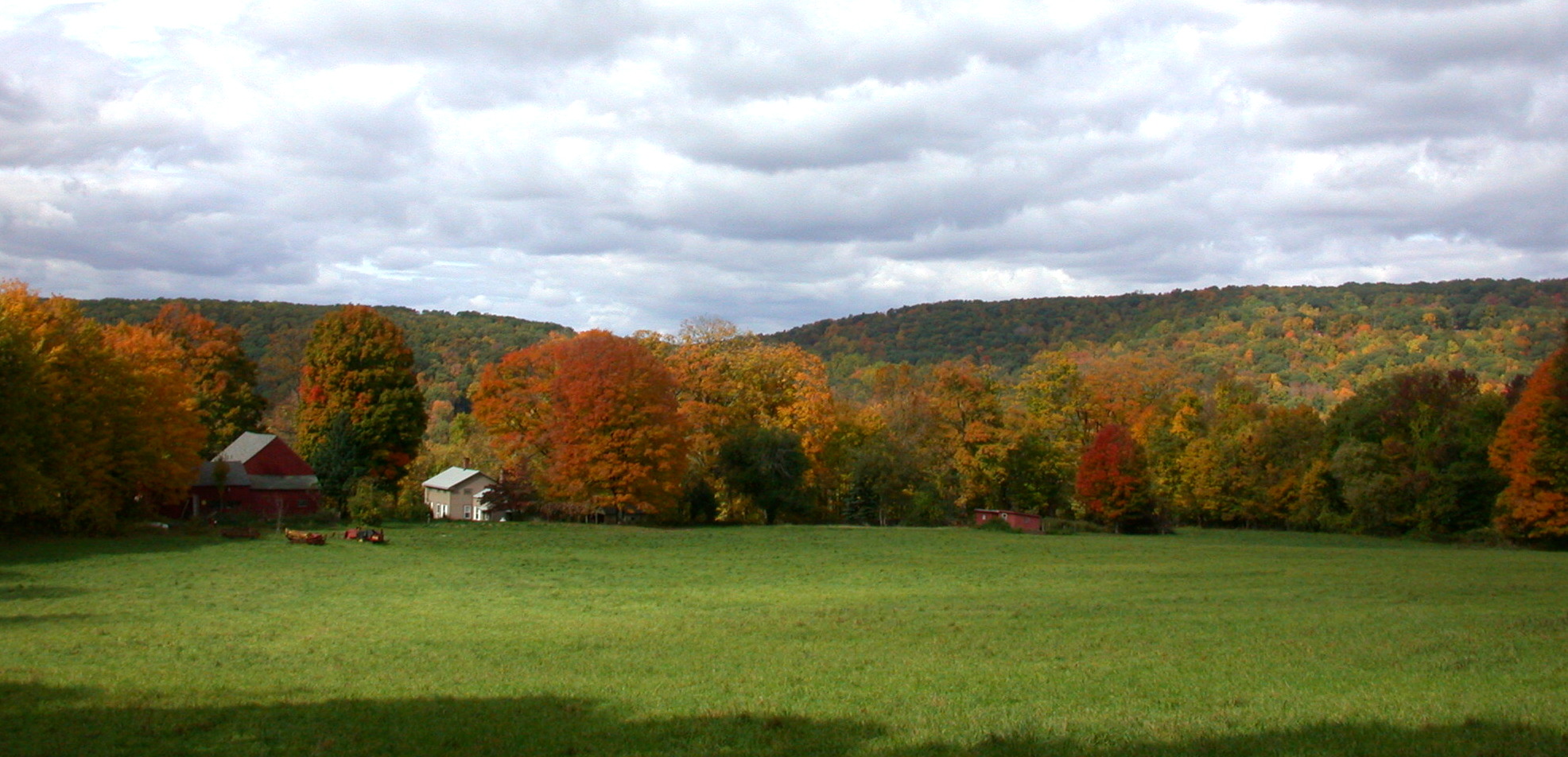 DSCN3208-pan