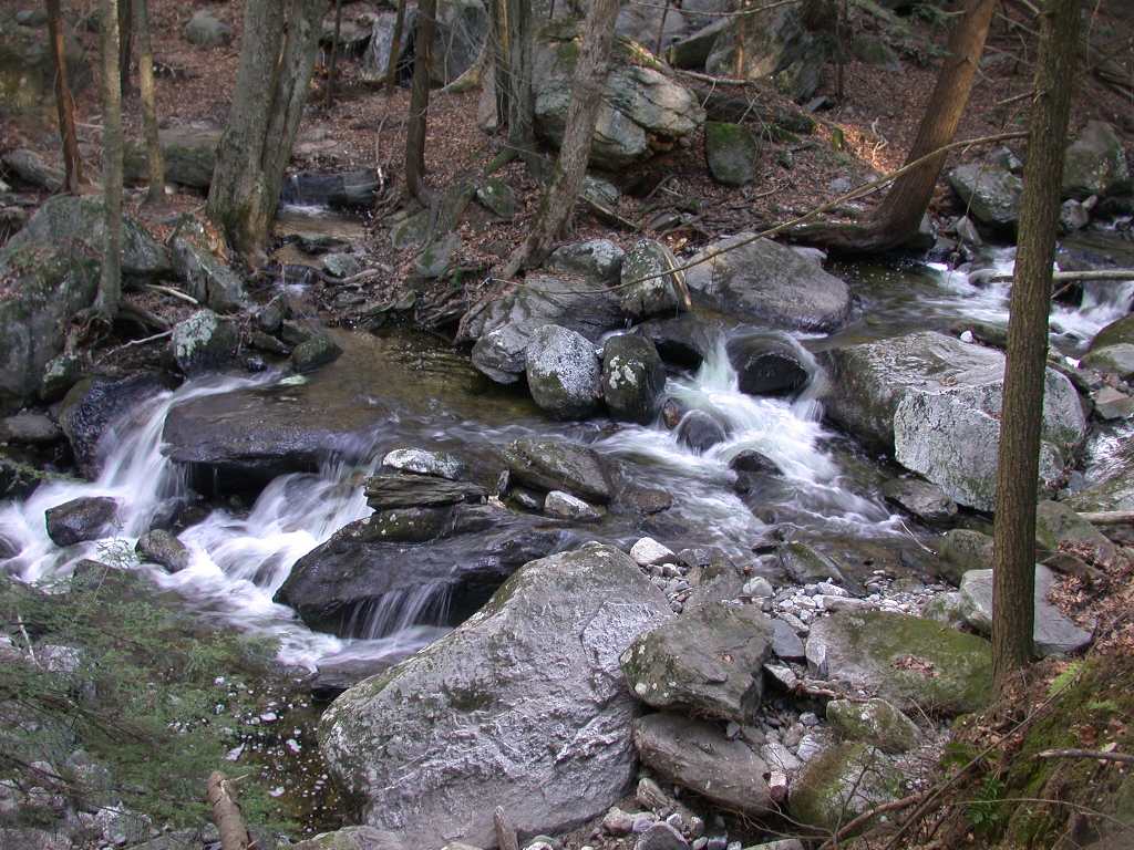 DSCN5335