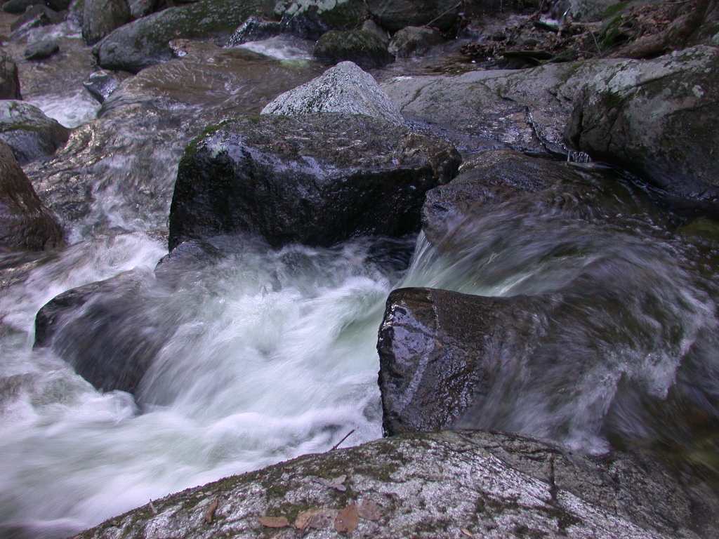DSCN5344