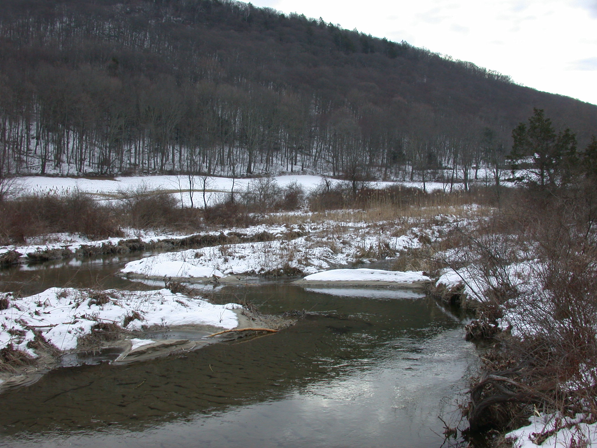 DSCN6368
