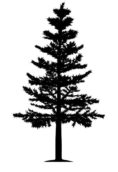 pinetree