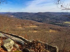 Forest Patterns and Processes: An Introduction.