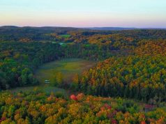 Applied Landscape Ecology for Conservation