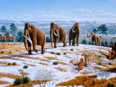 Ecologist Paul Martin on The Overkill Hypothesis and the Restoration of Pleistocene Megafauna